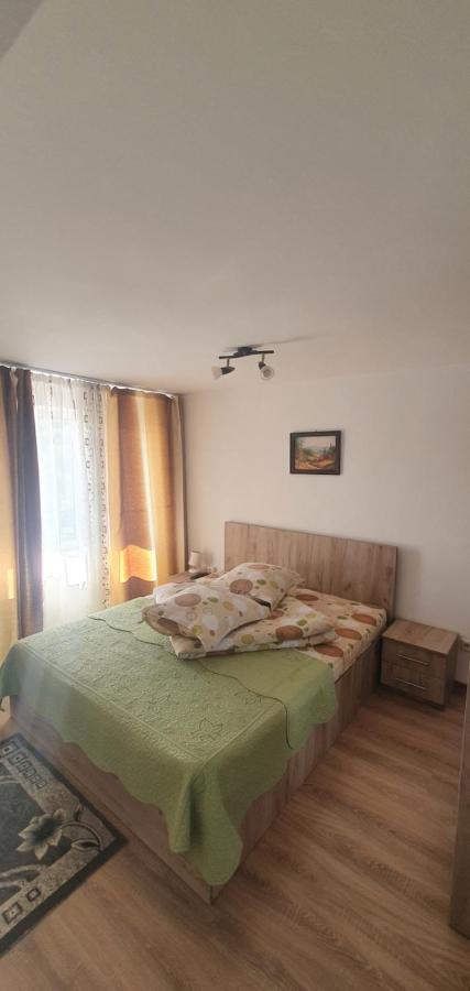 فندق Casa Silvia Căpăţîneni-Ungureni المظهر الخارجي الصورة