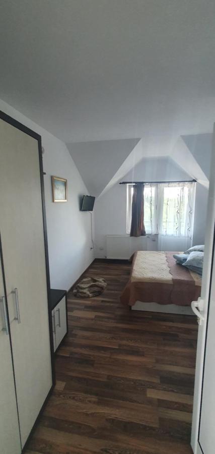 فندق Casa Silvia Căpăţîneni-Ungureni المظهر الخارجي الصورة